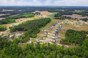463 Jackson Pond Dr, Smithfield, NC 27577 - Photo 50