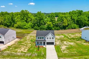 263 Bunker Hill Pl St, Angier, NC 27501 - Photo 6