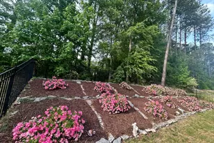 3229 Douglas Fir Rd, Raleigh, NC 27616 - Photo 34