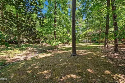 203 Wood Circle, Chapel Hill, NC 27514 - Photo 34