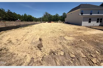 917 Diana Victoria Court, Wendell, NC 27591 - Photo 2