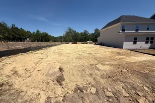917 Diana Victoria Ct, Wendell, NC 27591 - Photo 2