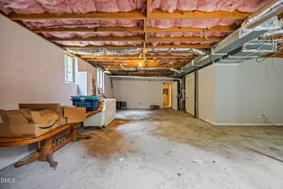 786 Dick Holeman Road, Roxboro, NC 27574 - Photo 44