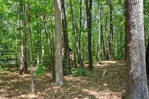 1216 Teaberry Ct, Cary, NC 27519 - Photo 46