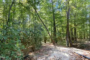 3 Peaceful Pl, Chapel Hill, NC 27517 - Photo 26