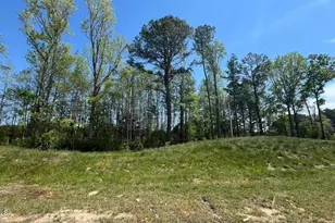 2430 Whitewing Ln, Wendell, NC 27591 - Photo 2