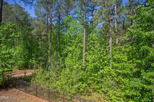 9013 Patmos Wy, Wake Forest, NC 27587 - Photo 48