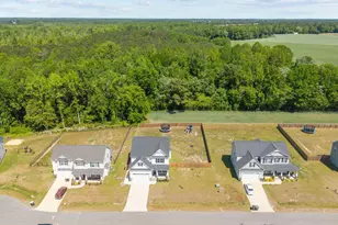 232 Kenbridge Ln, Princeton, NC 27569 - Photo 32