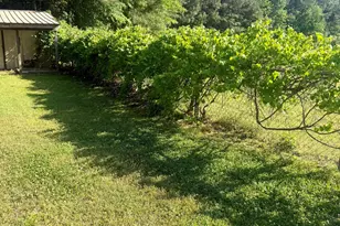 42 Happy Trails Ln, Dunn, NC 28334 - Photo 34