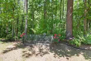 7850 Spungold St, Raleigh, NC 27617 - Photo 26