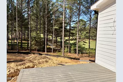 33 Blackhorn Court, Pittsboro, NC 27312 - Photo 32