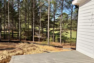 33 Blackhorn Ct, Pittsboro, NC 27312 - Photo 32
