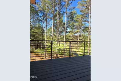 33 Blackhorn Court, Pittsboro, NC 27312 - Photo 34