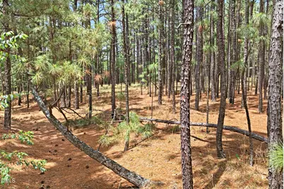 0 Flowers Road, Jackson Springs, NC 27281 - Photo 20