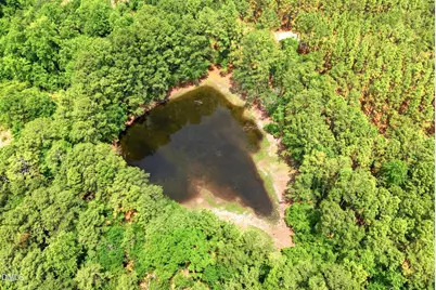 0 Flowers Road, Jackson Springs, NC 27281 - Photo 4