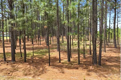 0 Flowers Road, Jackson Springs, NC 27281 - Photo 22