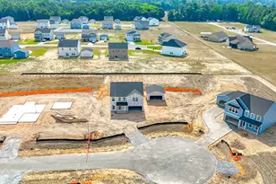 71 Lowell Cv, Angier, NC 27501 - Photo 10