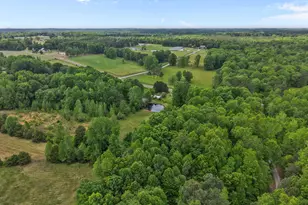8718 Moody Rd, Liberty, NC 27298 - Photo 46