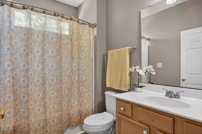 185 Joe Baldwin Road, Leasburg, NC 27291 - Photo 22