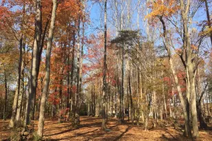 4583 Lambeth Mill Rd, Bennett, NC 27208 - Photo 46