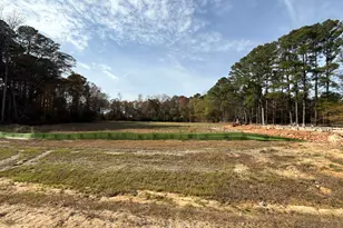 256 Juju Dr, Clayton, NC 27520 - Photo 2