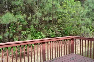 1005 Double Spring Ct, Apex, NC 27502 - Photo 32
