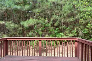 1005 Double Spring Ct, Apex, NC 27502 - Photo 34