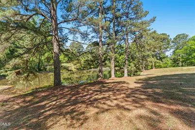 297 Wells Lane, Angier, NC 27501 - Photo 30
