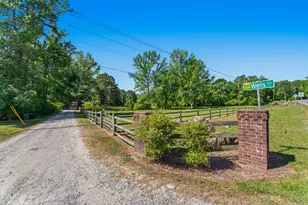 297 Wells Ln, Angier, NC 27501 - Photo 10