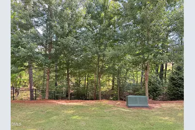 1036 Brightskies Street, Morrisville, NC 27560 - Photo 12