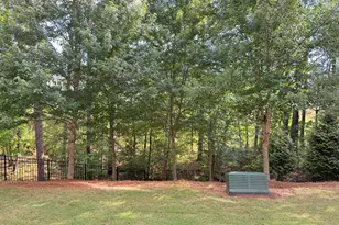 1036 Brightskies St, Morrisville, NC 27560 - Photo 12