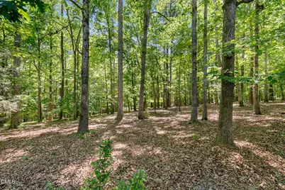 108 Chimeneas Place, Chapel Hill, NC 27517 - Photo 66