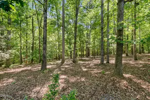 108 Chimeneas Pl, Chapel Hill, NC 27517 - Photo 66