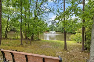 2804 Piedmont River Way, Raleigh, NC 27606 - Photo 38