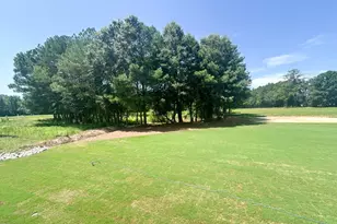2509 Rosslare Pond Trail, Wendell, NC 27591 - Photo 32