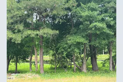 2509 Rosslare Pond Trail, Wendell, NC 27591 - Photo 38