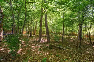 142 W Hatterleigh Ave, Hillsborough, NC 27278 - Photo 44