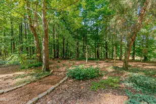 4234 New Hope Springs Dr, Hillsborough, NC 27278 - Photo 40