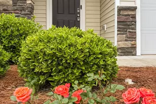 20 Ezekiel St, Durham, NC 27705 - Photo 4