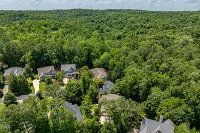 137 Forked Pine Court, Chapel Hill, NC 27517 - Photo 48