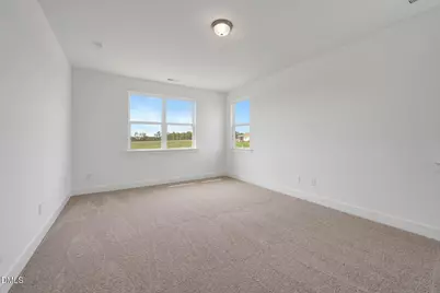 272 Thomas Store Drive, Broadway, NC 27505 - Photo 28