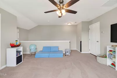 941 Branch Line Lane, Apex, NC 27502 - Photo 46