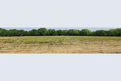 Lot 10 Dogeye Road, Benson, NC 27504 - Photo 12