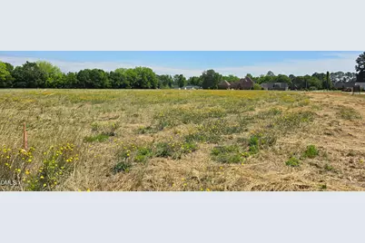 Lot 11 Dogeye Road, Benson, NC 27504 - Photo 16