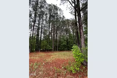0 W River Road, Franklinton, NC 27525 - Photo 4