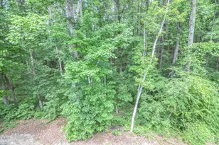 322 Silverleaf Dr, Wendell, NC 27591 - Photo 50
