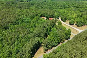 393 Gum Springs Church Rd, Moncure, NC 27559 - Photo 46