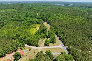 393 Gum Springs Church Rd, Moncure, NC 27559 - Photo 48