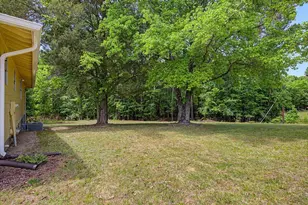 393 Gum Springs Church Rd, Moncure, NC 27559 - Photo 32