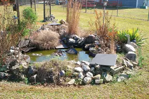 235 Iris Bryant Rd, Erwin, NC 28339 - Photo 24